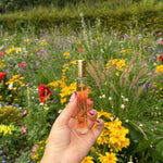 عطر بحجم مناسب للسفر (10 مل)